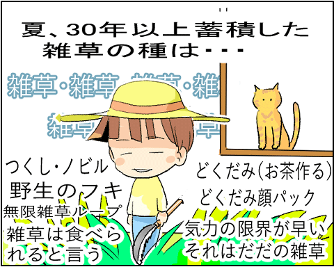 猫 24-8