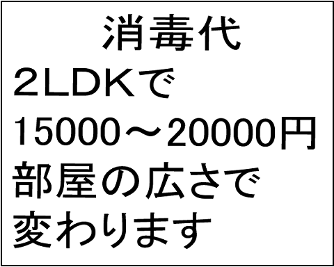 猫 29-5