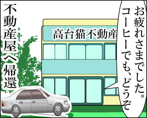 猫 88-1