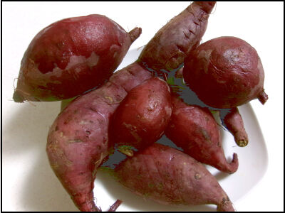 さつま芋　紅はるか　2025　２ (23)圧縮