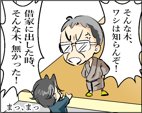 猫 38補足-5-6