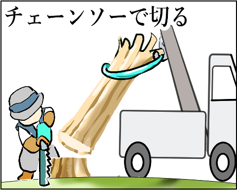 猫 38補足-9-7