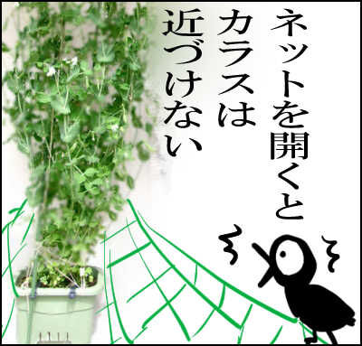 スナップ20本仕立て圧縮　19