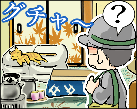 猫 64-4