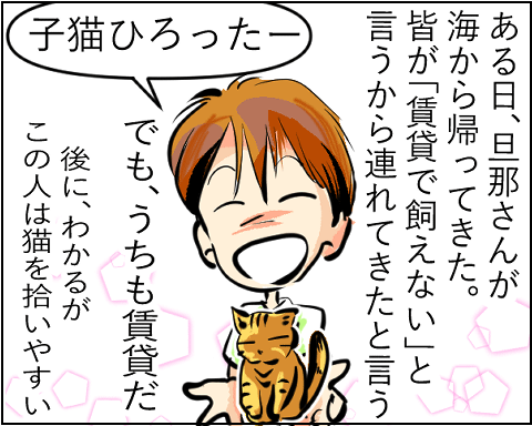 猫 1-1