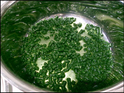 ホムベ　草餅　2倍よもぎ　水240ml (1)圧縮