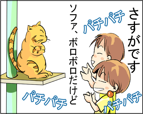 猫 30-8