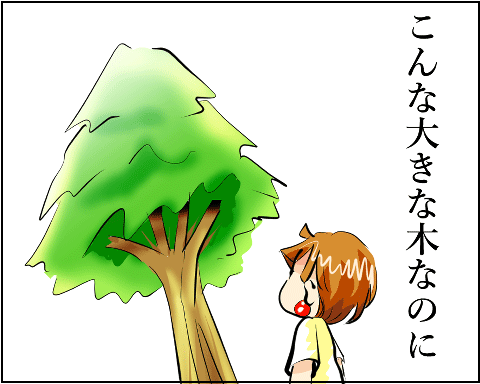 猫 38補足-3-1
