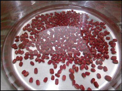 ヨモギパン　バター無し (9)圧縮2