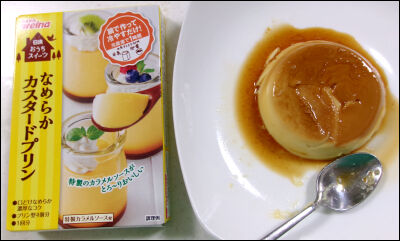 日清ウェル　プリンの素 (14)圧縮