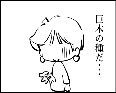 猫 38補足-2-4