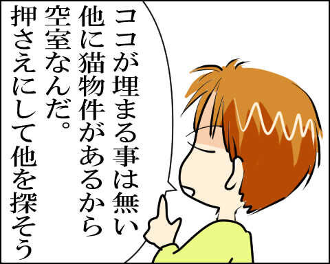猫 79-7
