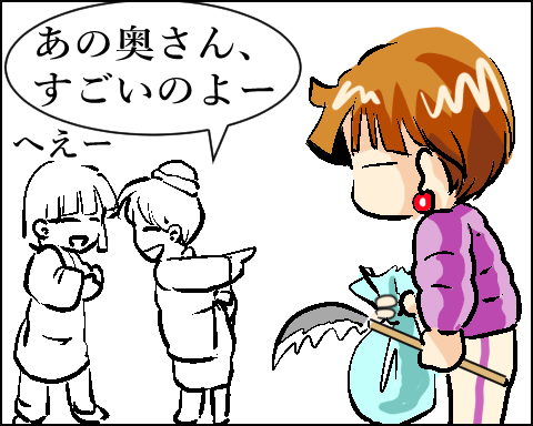 猫 62-3