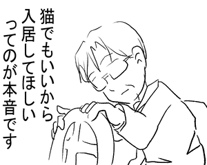 猫 8-8