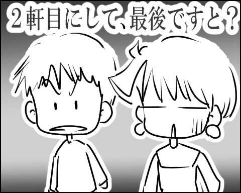 猫 80-6