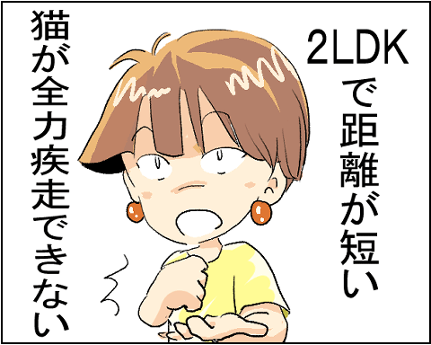 猫 29-7