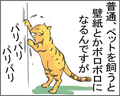 猫　２９－２