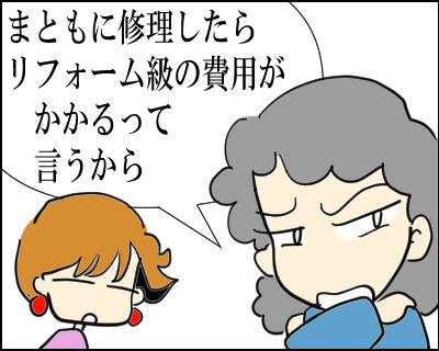 猫　１２０－4