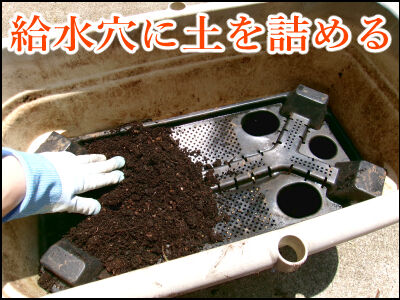 スナップ20本仕立て圧縮　12