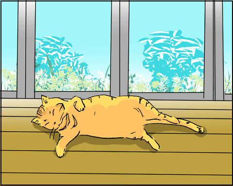猫 21-7