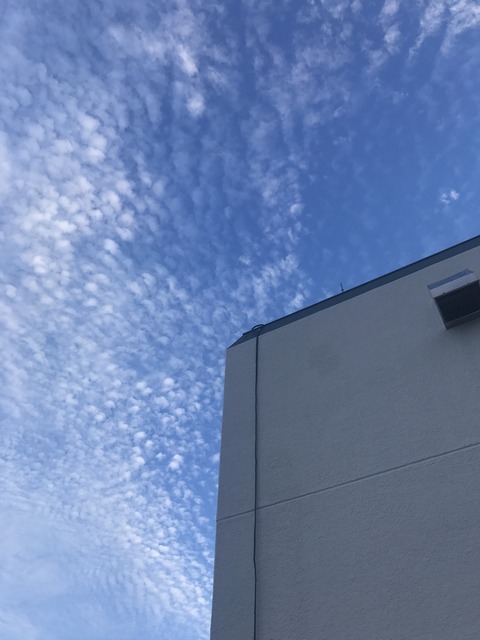 sora