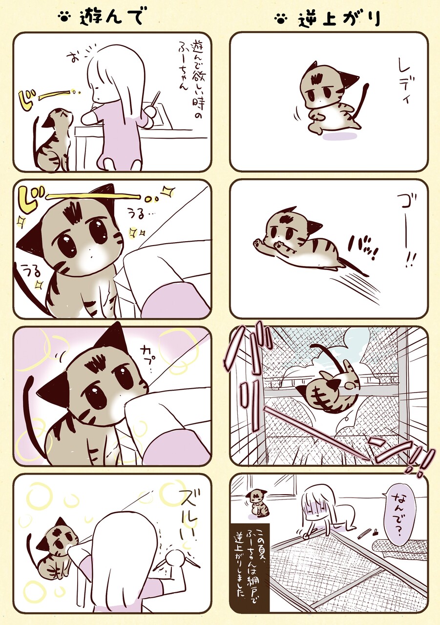 結婚指輪どうしよう 結婚準備編 3 ことりと異星人 powered by ライブドアブログ
