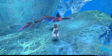 ToramOnlineScreenshot2022_09_25_19_37_38