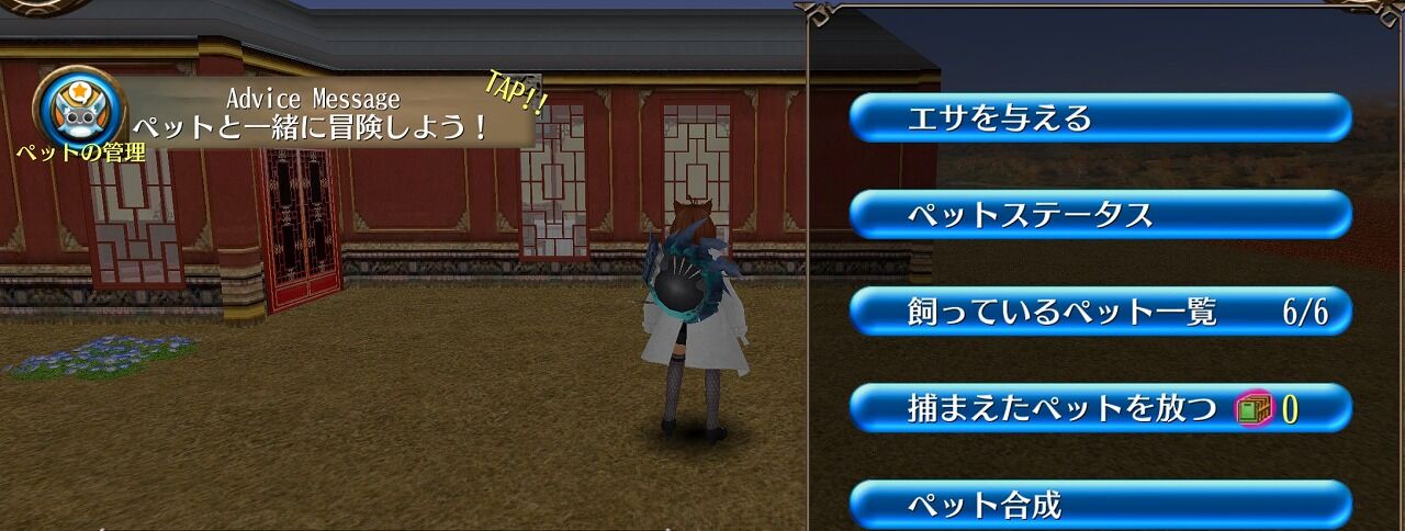 トーラム マイルームにきた ペット 山椒はこつぶでも トーラム マイルームにきた ペット 山椒はこつぶでも