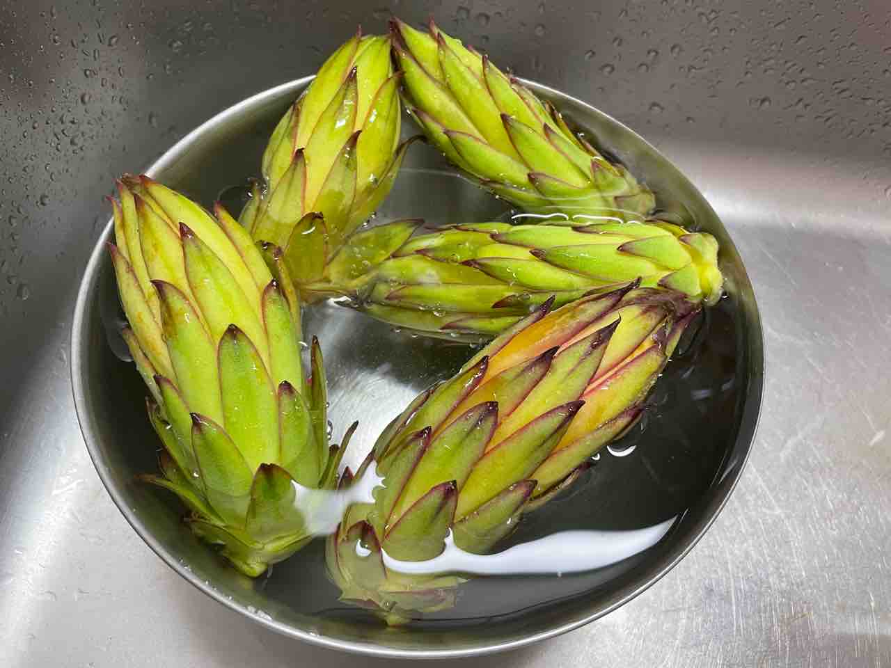 ドラゴンフルーツの蕾 なます 天ぷら 島ぞうりを履いたキリン