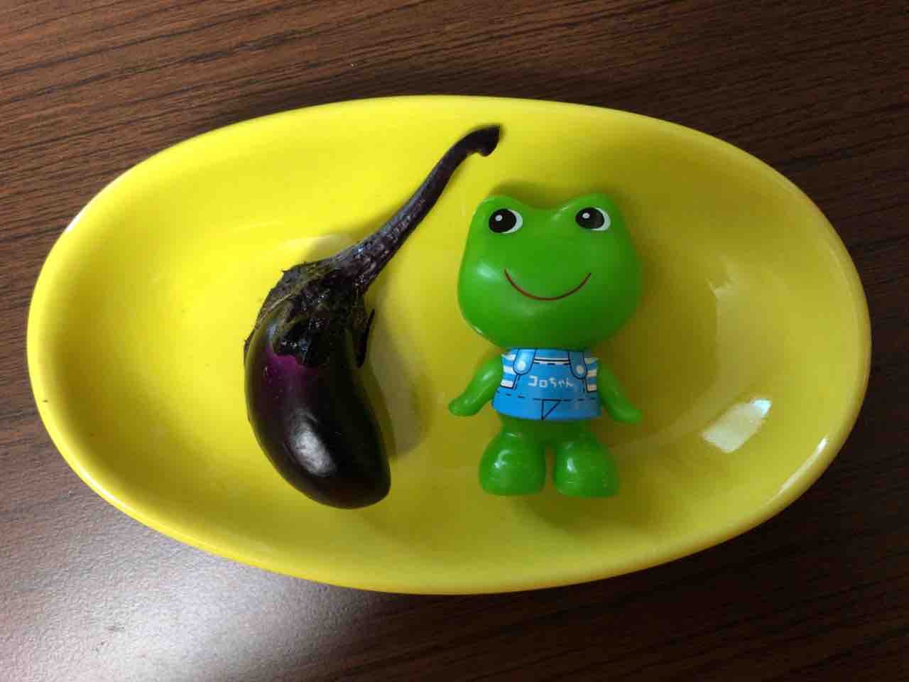 3個目のミニミニ野菜 ナス カラスの子 くぅ と楽しくて愉快な仲間のblog 3個目のミニミニ野菜 ナス カラスの子 くぅ と楽しくて愉快な仲間のblog