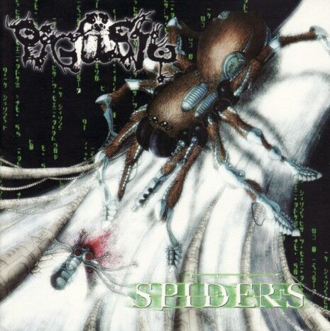 spiders
