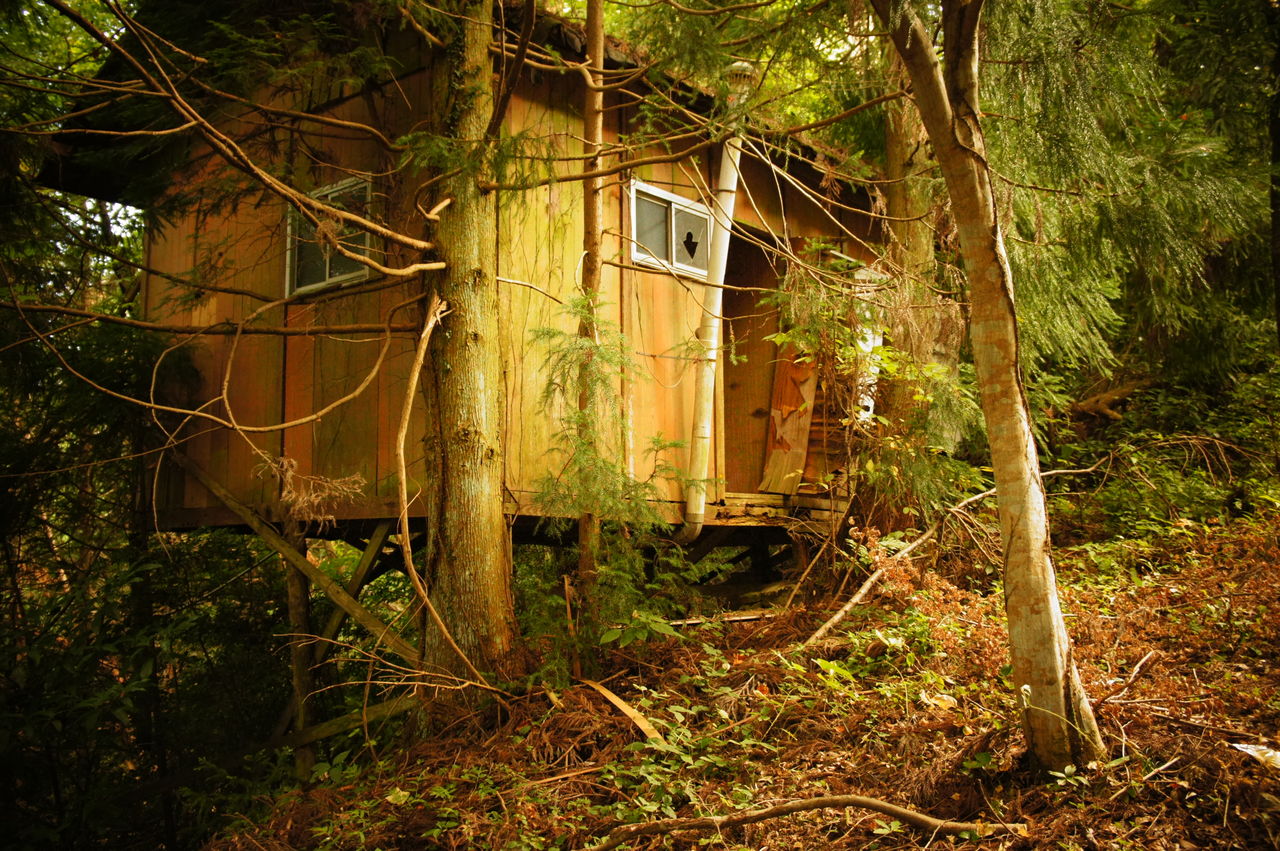 飯盛山別荘地跡 廃墟巡歴録