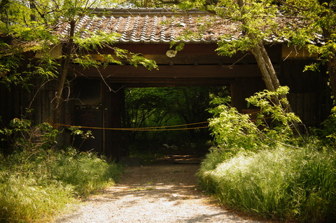 高田牧場003