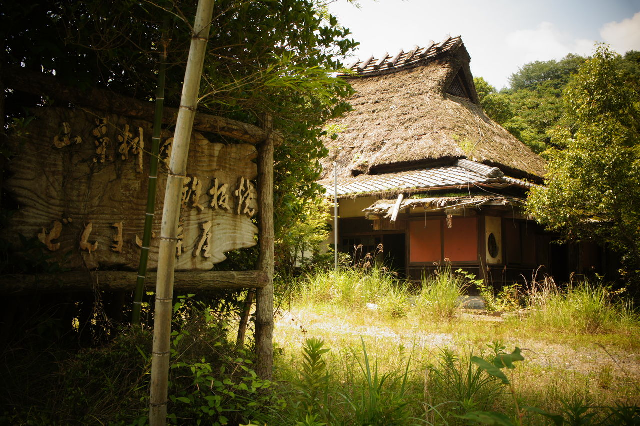 ぜんまい茶屋 廃墟巡歴録