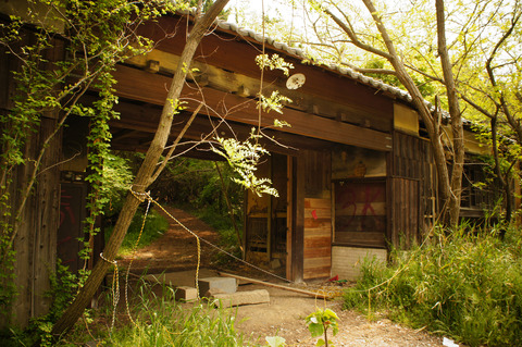 高田牧場004