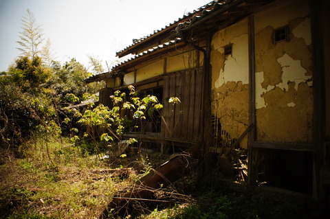 周遍寺065