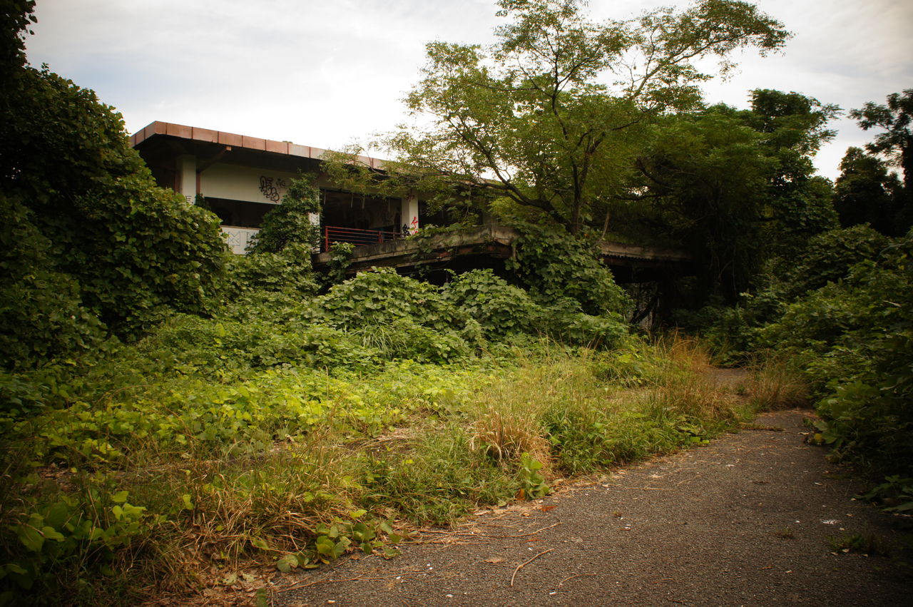 信愛病院 廃墟巡歴録 信愛病院 廃墟巡歴録
