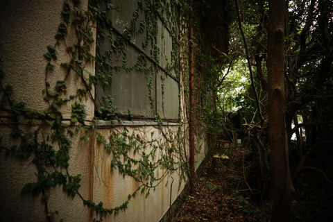 古市医院123