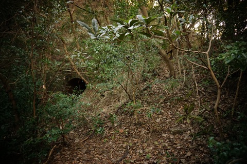 男良谷砲台068-2