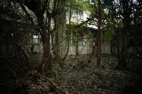古市医院061