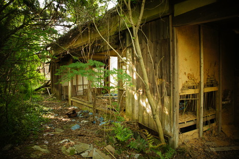 高田牧場006
