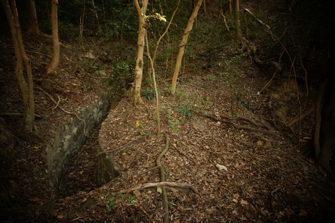 男良谷砲台048-2