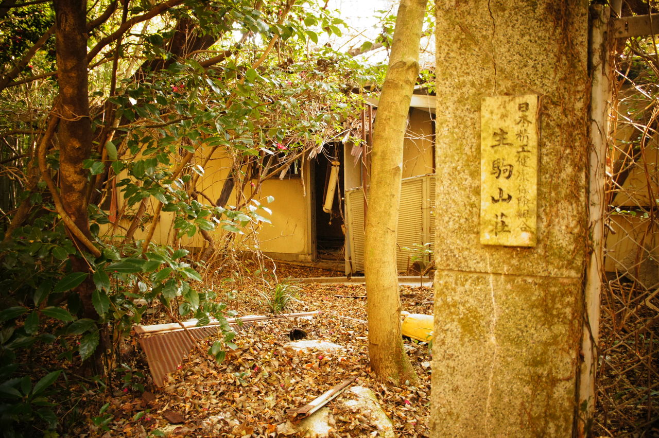 生駒山上廃別荘群 其のニ 廃墟巡歴録