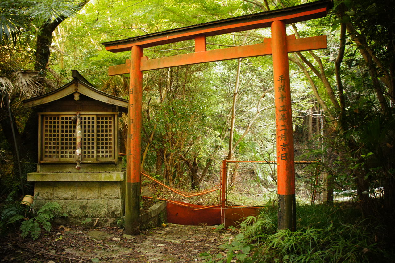 象の像の廃神社 廃墟巡歴録 象の像の廃神社 廃墟巡歴録