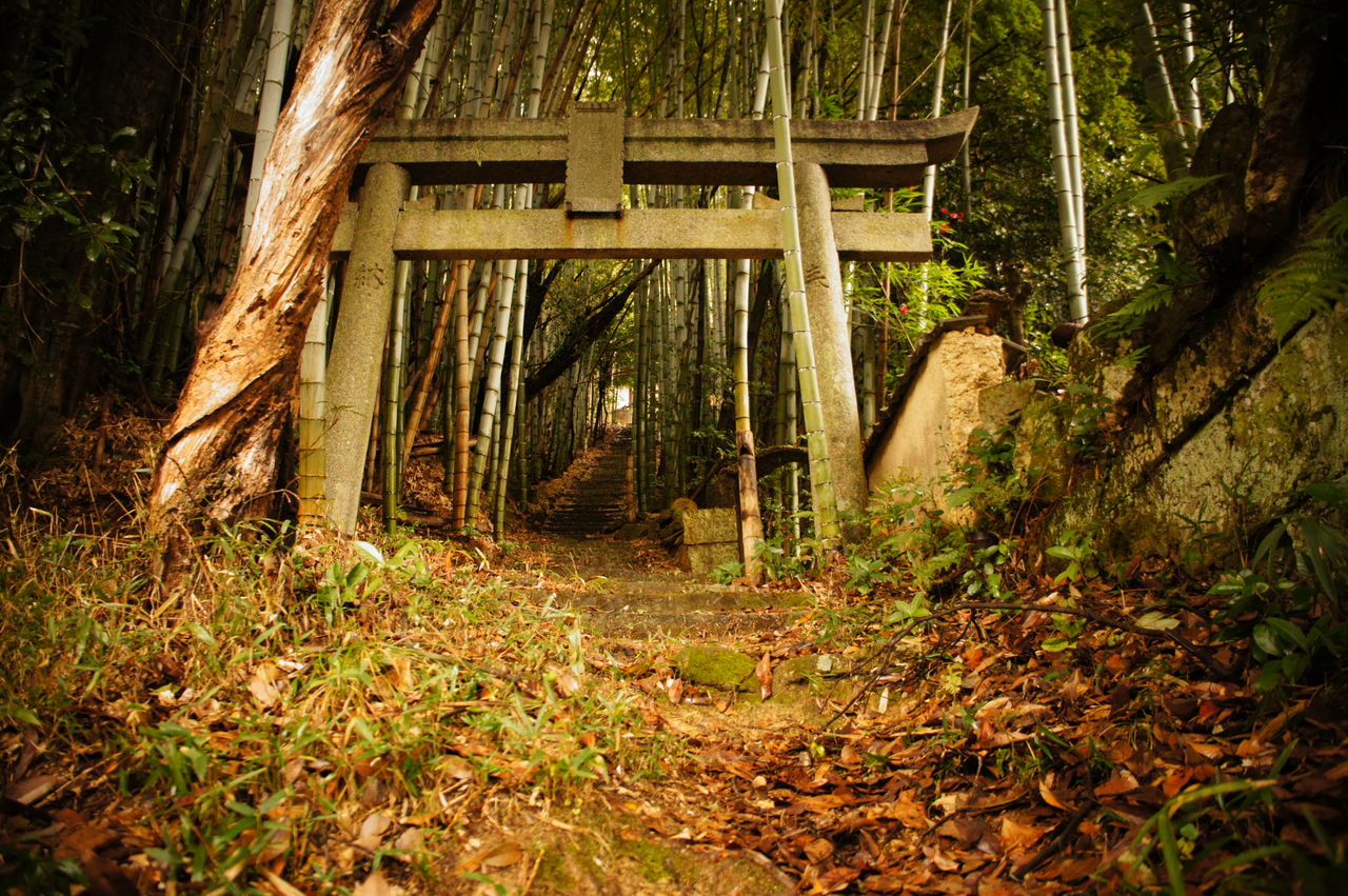 石切八社主神社 廃墟巡歴録 石切八社主神社 廃墟巡歴録