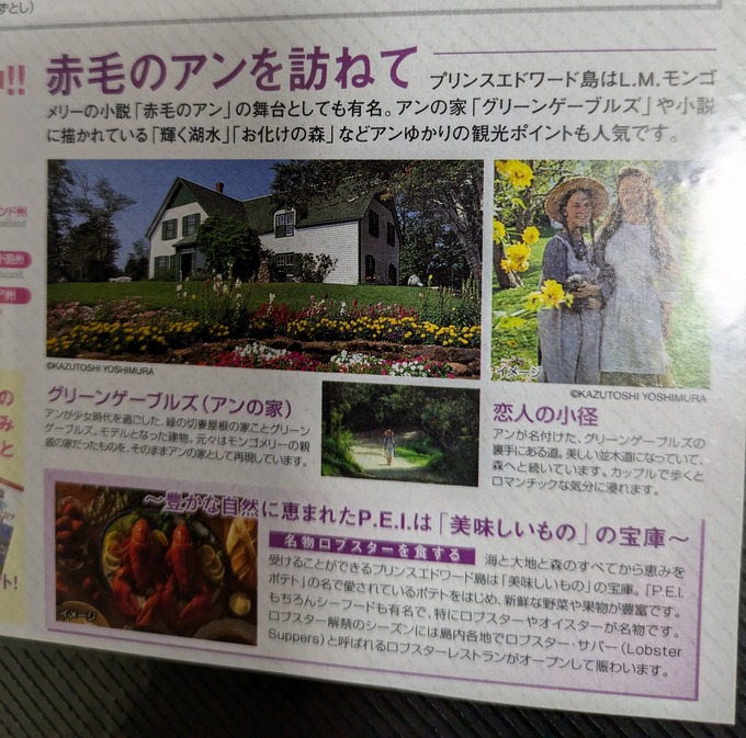 赤毛のアンの思い出 : 古民家アートスペース紀の川のブログ