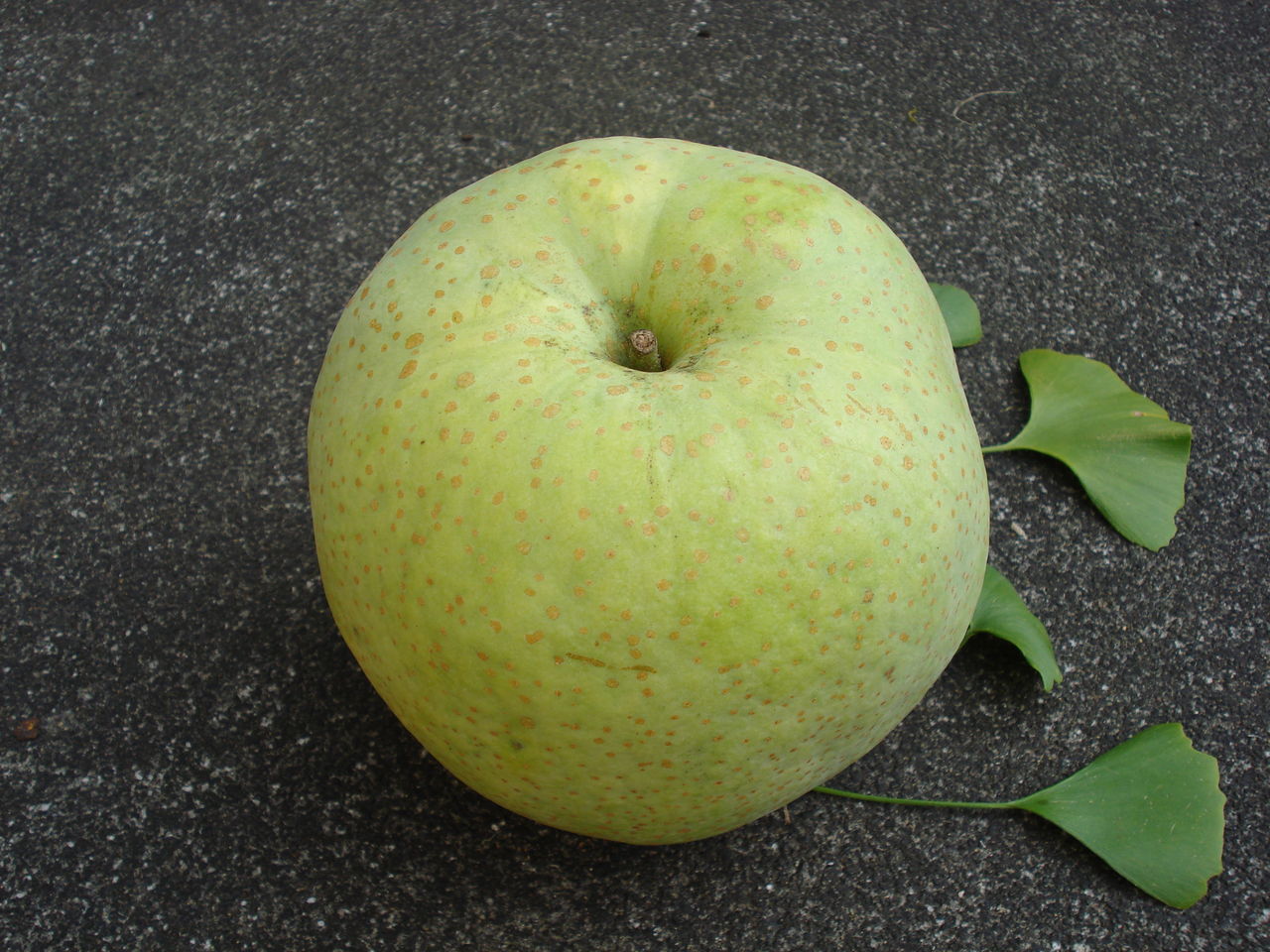 かおり梨 Green Table かおり梨 Green Table