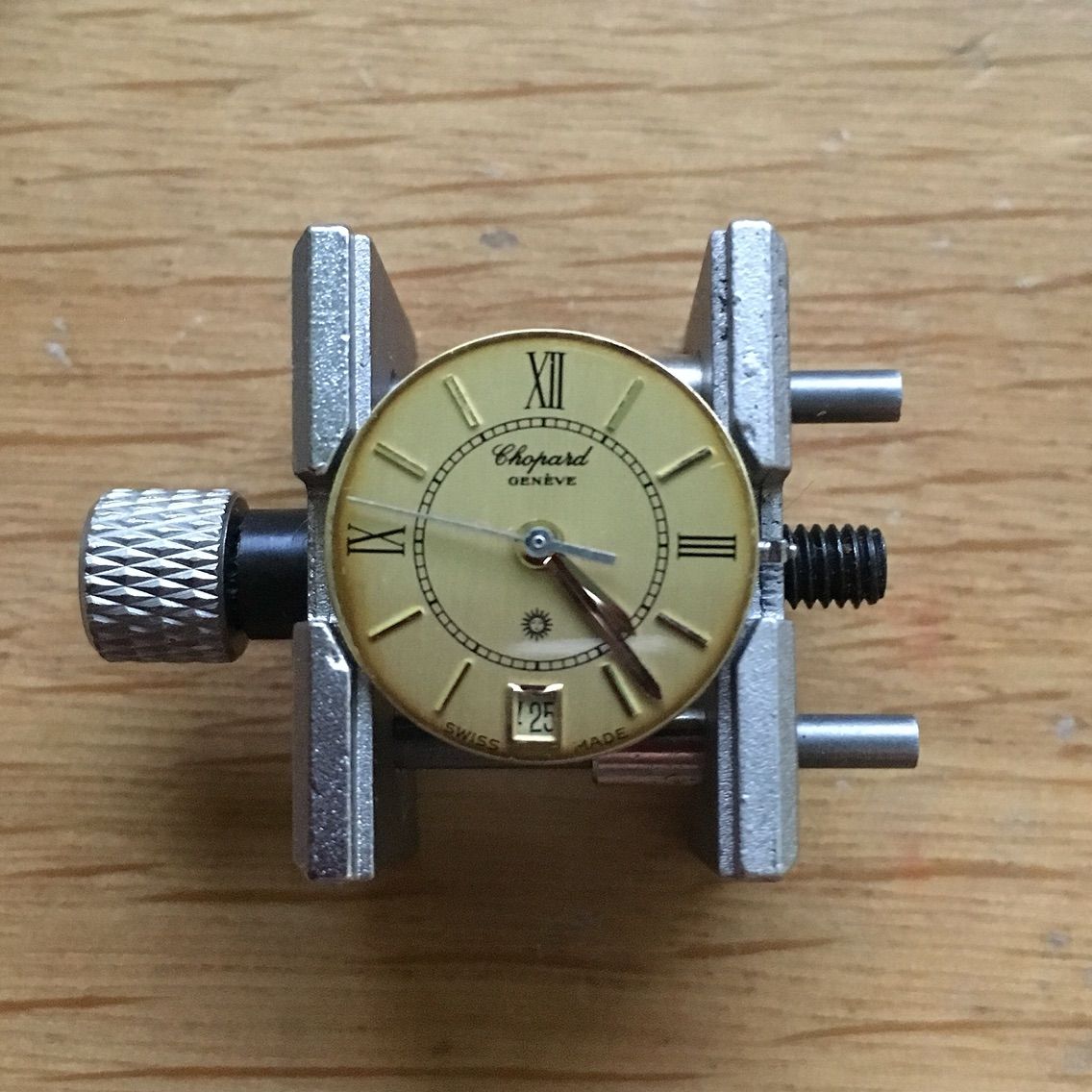 RADO Golden Horse Quartz Ladies［Golden Lady / Stevie Wonder