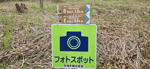 20250501_152605