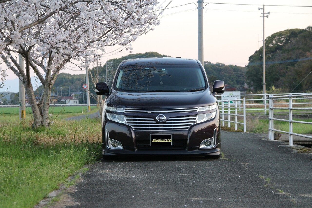 エルグランド 桜の咲く季節 今日の牛村さん 介護と育児と改造日誌
